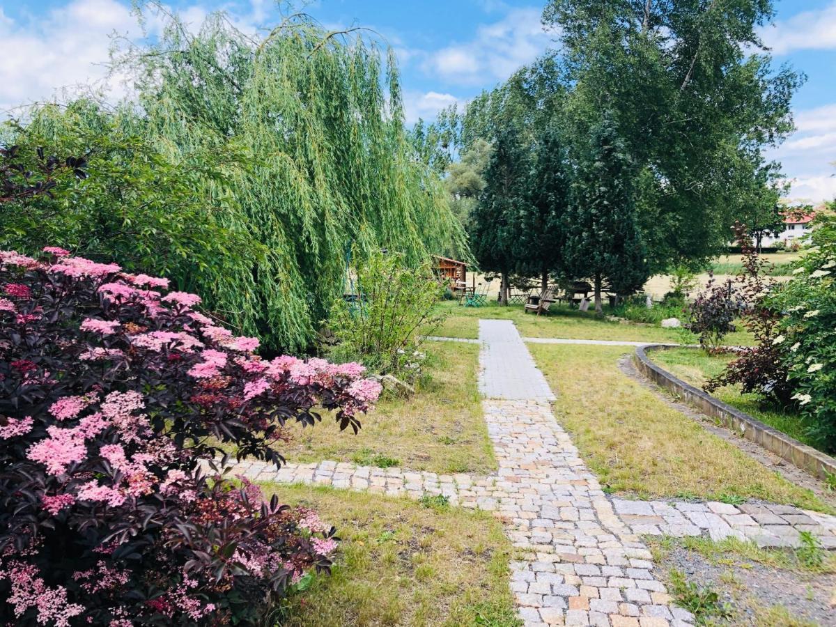 Hotel Weisse Muehle Breitenworbis Экстерьер фото
