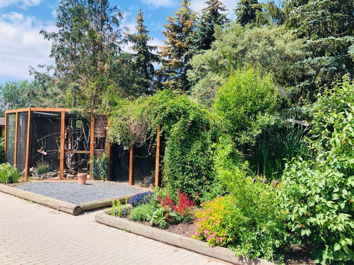 Hotel Weisse Muehle Breitenworbis Экстерьер фото