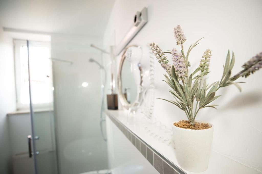 Hotel Weisse Muehle Breitenworbis Экстерьер фото
