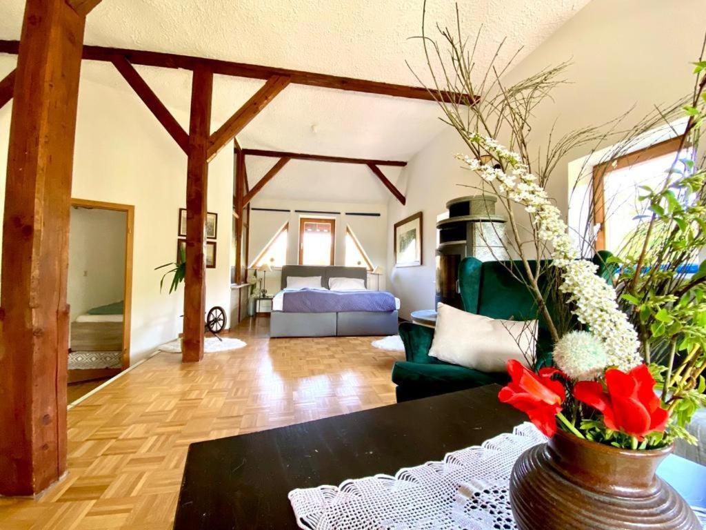 Hotel Weisse Muehle Breitenworbis Экстерьер фото