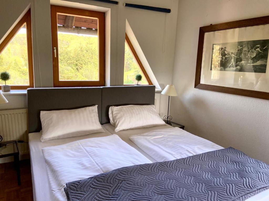 Hotel Weisse Muehle Breitenworbis Экстерьер фото